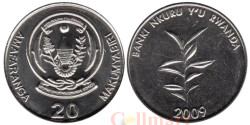 Руанда. 20 франков 2009 год. Кофейное дерево.