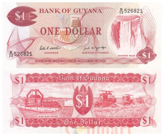  Бона. Гайана 1 доллар 1989 год. Водопад Кайетер. (Пресс) 