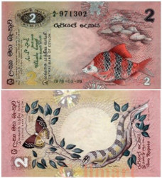 Бона. Цейлон 2 рупии 1979 год. Чёрный барбус. (Пресс)
