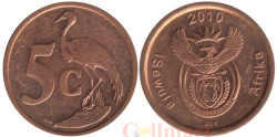 ЮАР. 5 центов 2010 год. Африканская красавка.