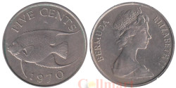 Бермудские острова. 5 центов 1970 год. Бермудская голубая рыба-ангел.