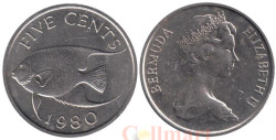Бермудские острова. 5 центов 1980 год. Бермудская голубая рыба-ангел.