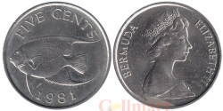 Бермудские острова. 5 центов 1981 год. Бермудская голубая рыба-ангел.