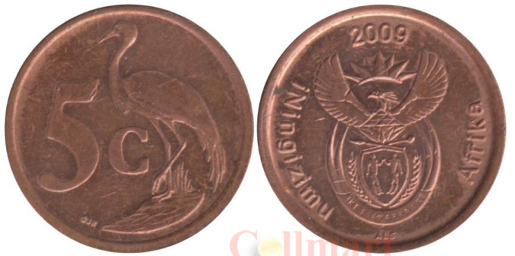  ЮАР. 5 центов 2009 год. Африканская красавка. 