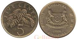 Сингапур. 5 центов 2000 год. Монстера деликатесная.