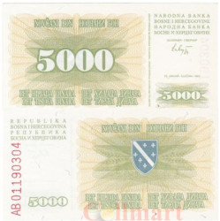 Бона. Босния и Герцеговина 5000 динаров 1993 год. (XF)