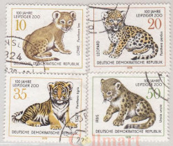 Набор марок. ГДР. 100 лет Лейпцигскому зоопарку, Молодые кошки. 4 марки. гашеные.