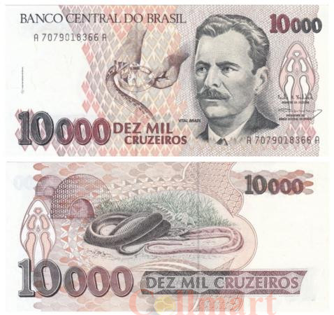  Бона. Бразилия 10000 крузейро 1993 год. Витал Бразил. (XF+) 