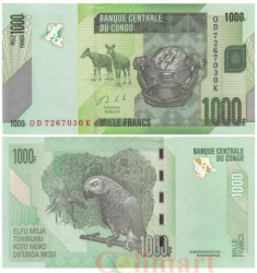 Бона. Конго (ДРК) 1000 франков 2013 год. Попугай. (Пресс)