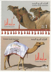 Набор марок. Объединенные Арабские Эмираты. Мазая-Дафра - Фестиваль верблюдов. 2 марки.