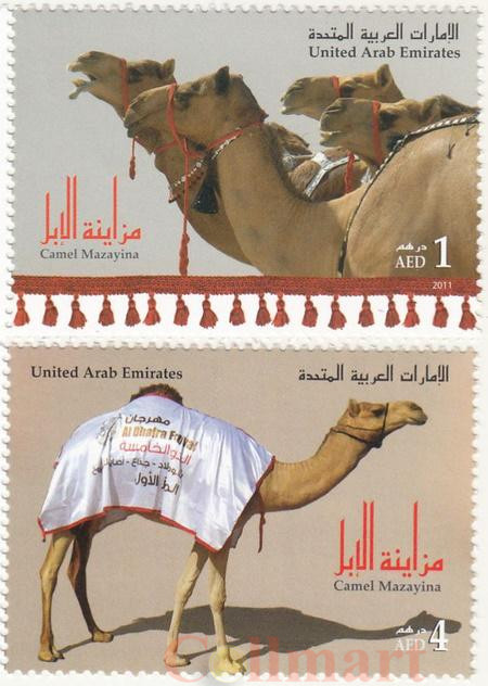  Набор марок. Объединенные Арабские Эмираты. Мазая-Дафра - Фестиваль верблюдов. 2 марки. 