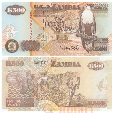  Бона. Замбия 500 квач 2003 год. Орлан-крикун. (Пресс) 