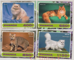 Набор марок. Руанда. Неофициальный выпуск. Кошки. 4 марки.