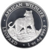 Сомали. 100 шиллингов 2022 год. Леопард - Африканская дикая природа. 