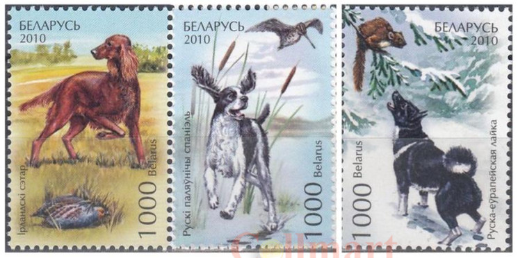  Набор марок. Беларусь. Охотничьи собаки (2010). (3 марки) 