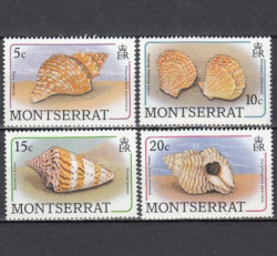 Набор марок. Монтсеррат 1988 год. Морские раковины. (4 марки)