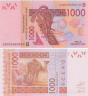  Бона. Бенин 1000 франков 2003 (2024) год. Верблюды. (Пресс) 