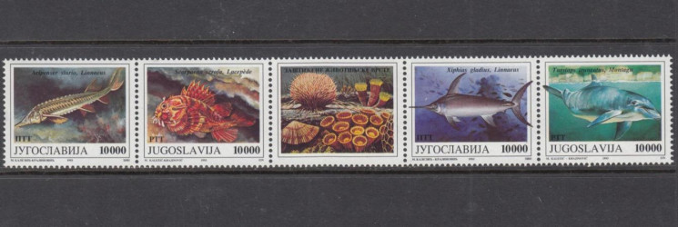  Сцепка марок. Югославия 1993 год. Охраняемые виды животных. Морская фауна. (4 марки + купон) 