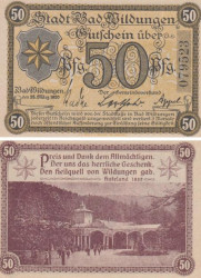 Бона. Германия. Бад-Вильдунген 50 пфеннигов 1920 год. Нотгельд. (XF)