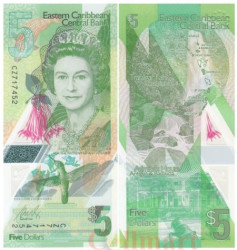 Бона. Восточно-карибские государства 5 долларов 2020 год. Колибри. (Пресс)