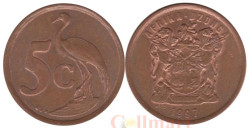 ЮАР. 5 центов 1997 год. Африканская красавка.