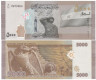  Бона. Сирия 5000 фунтов 2024 год. Солдат. (Пресс) 