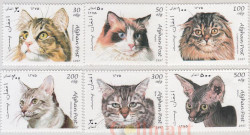 Набор марок. Афганистан. Домашние кошки (1997). 6 марок.