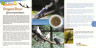  Малайзия. 25 сенов 2004 год. Мускатный плодоядный голубь. (буклет) 
