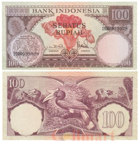  Бона. Индонезия 100 рупий 1959 год. Птица-носорог. (XF-AU) 