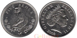 Гибралтар. 5 пенсов 2003 год. Магот (варварийская обезьяна).