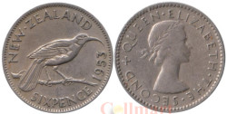 Новая Зеландия. 6 пенсов 1953 год. Разноклювая гуйя.