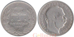 Венгрия. 1 крона 1895 год.	Франц Иосиф I.