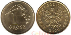 Польша. 1 грош 2009 год.