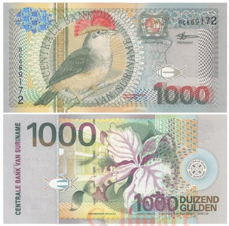  Бона. Суринам 1000 гульденов 2000 год. Королевская мухоловка. (Пресс) 