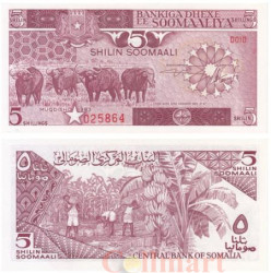 Бона. Сомали 5 шиллингов 1983 год. Азиатский буйвол. (Пресс)