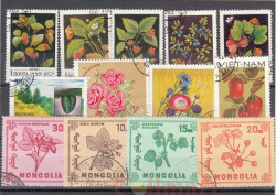 Набор марок. Цветы. 13 марок. (Н-38)