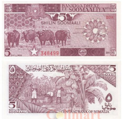 Бона. Сомали 5 шиллингов 1986 год. Азиатский буйвол. (AU)