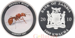 Замбия. 1000 квача 2010 год. Красный муравей - жнец.