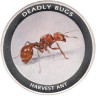  Замбия. 1000 квача 2010 год. Красный муравей - жнец. 