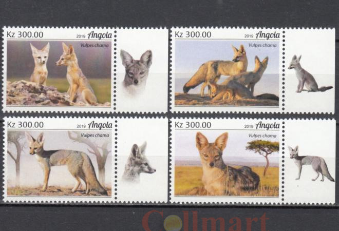  Набор марок. Ангола 2019 год. Южноафриканская большеухая лисица. (4 марки)  