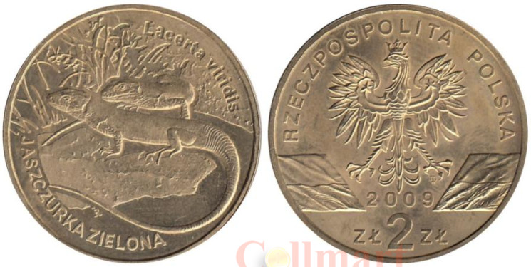  Польша. 2 злотых 2009 год. Зелёная ящерица. 