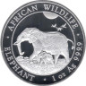  Сомали. 100 шиллингов 2022 год. Африканский слон - Африканская дикая природа. 