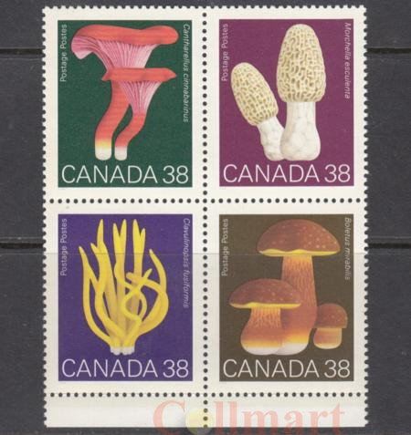  Квартблок. Канада 1989 год. Грибы, произрастающие в Канаде.  