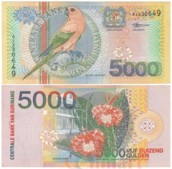 Бона. Суринам 5000 гульденов 2000 год. Солнечный попугай. (VF-XF)