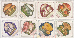 Набор марок. Монголия. Грибы (1964). 8 марок.