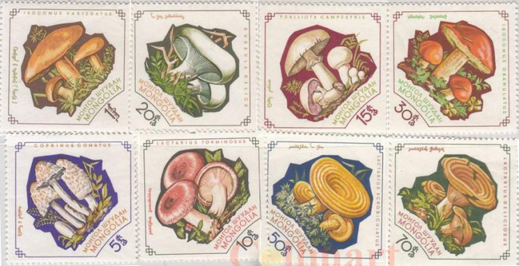  Набор марок. Монголия. Грибы (1964). 8 марок. 