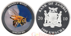 Замбия. 1000 квача 2010 год. Смертоносные насекомые - Африканская пчела.