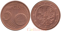 Германия. 5 евроцентов 2007 год. Дубовые листья. (D)