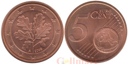 Германия. 5 евроцентов 2006 год. Дубовые листья. (A)