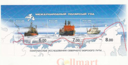 Почтовый блок. Россия 2008 год. Международный полярный год 2008.
